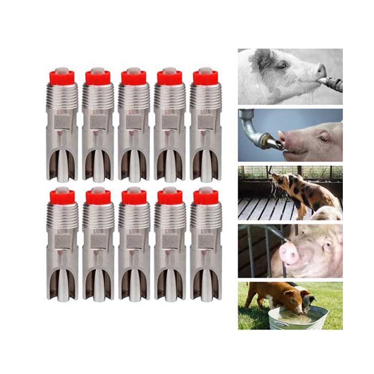 Stainless Steel 1/2Inch PT Thread Pig Pig Automatic Nipple Drinker Drinker Nipple Farm Equipment 10Pcs