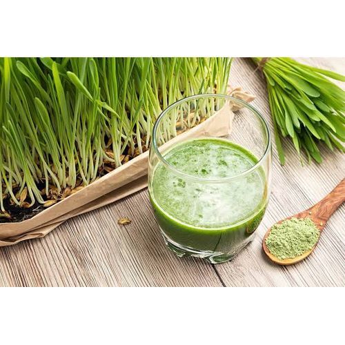 Organic Barleygrass Juice Powder -500g
