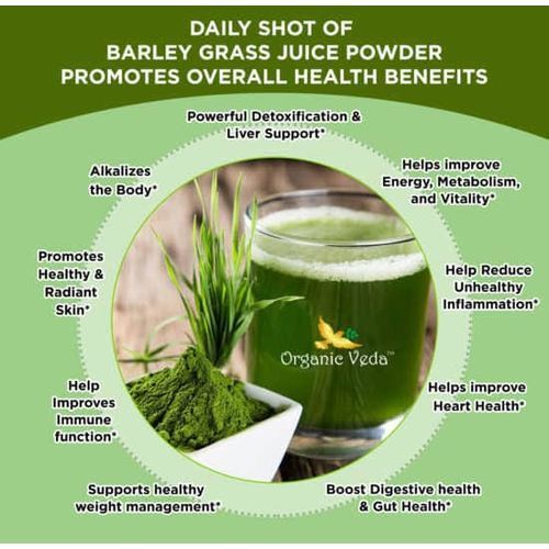 Organic Barleygrass Juice Powder -500g