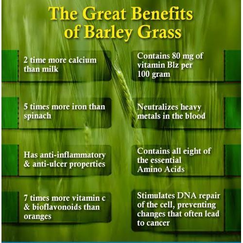 Organic Barleygrass Juice Powder -500g