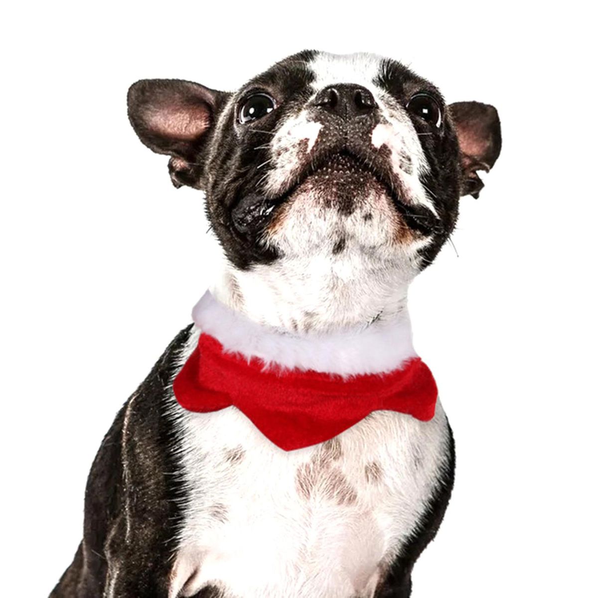 Pet Cats Dogs Animals Scarf for H-alloween Christmas Xmas Festival Holiday Present Gift Portable