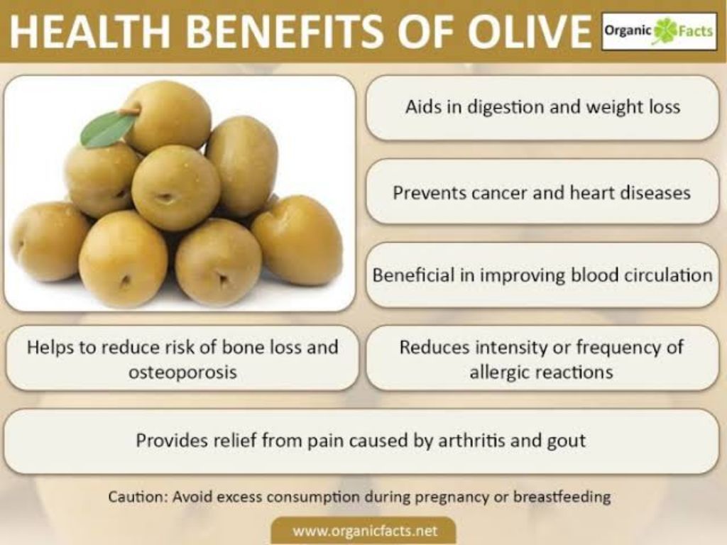 Spanish Green Olives Seed