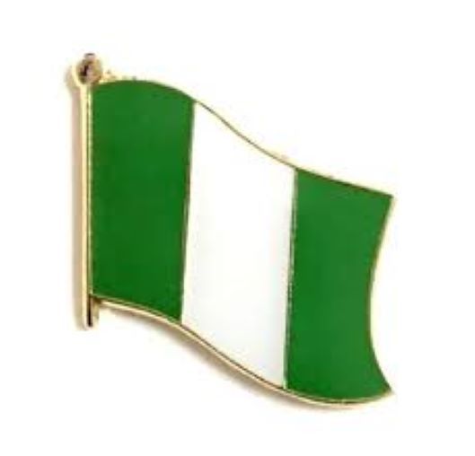 Nigerian Flag Shape Lapel Pin