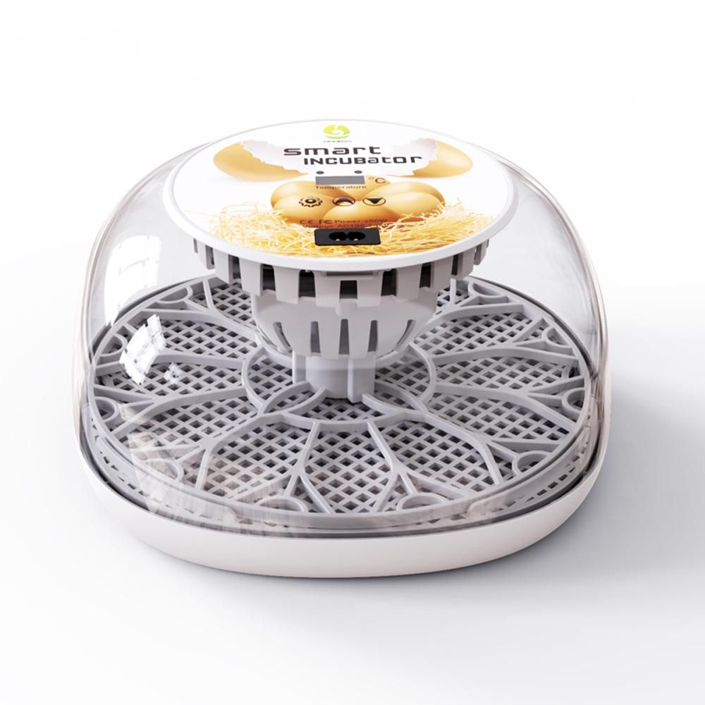 Egg Incubator for Hatching with Automatic Egg Turning Led Egg Test Lamp Clear Lid Easy to Wash 12 Eggs Poultry Hatcher Farm Bird Quail Chicken Poultry Farm Hatcher Turner Incubation Tools