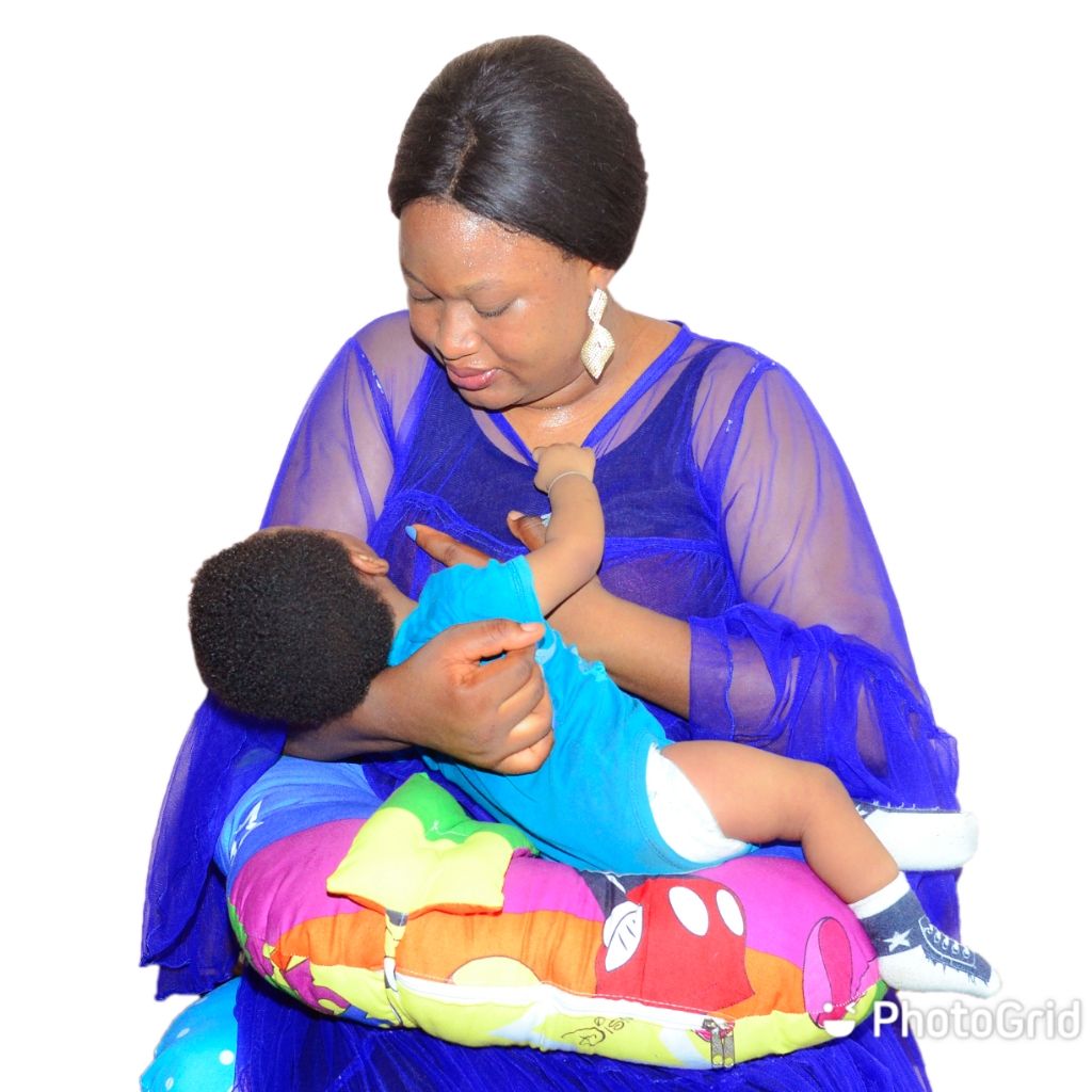 Multipurpose Nursing Pillow