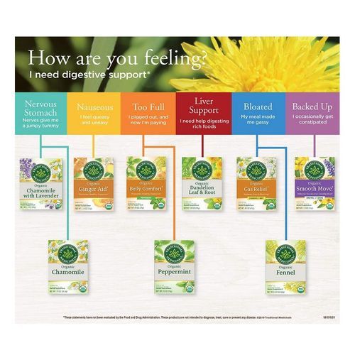 Chamomile Tea Organic 20.8g 16Wrap