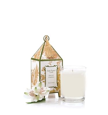 Elegant Gardenia 56.7g Classic Toile Mini Pagoda Box Candle
