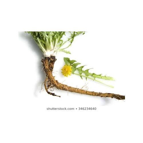 Organic Dandelion Root Powder - 100g