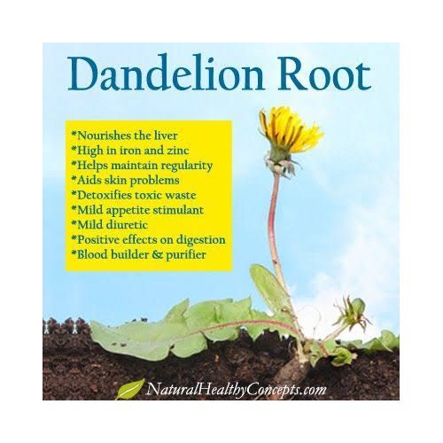 Organic Dandelion Root Powder - 100g