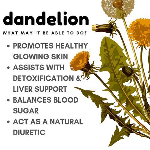 Organic Dandelion Root Powder - 100g
