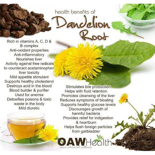 Organic Dandelion Root Powder - 100g