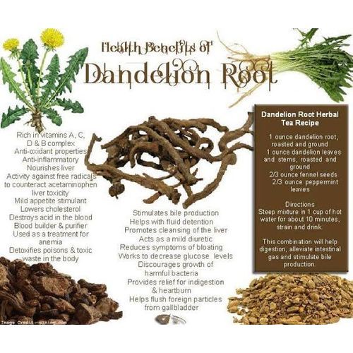 Organic Dandelion Root Powder - 100g
