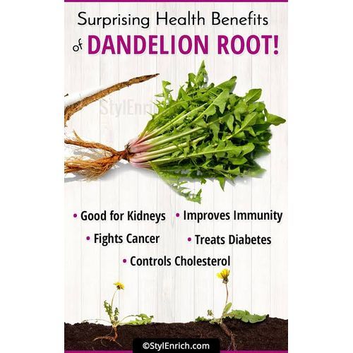 Organic Dandelion Root Powder - 100g