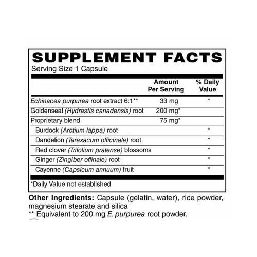 Echinacea & Goldenseal 100 Capsules