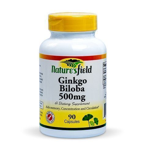 Ginkgo Biloba 500mg - 90 Caps
