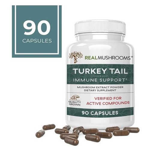Turkey Tail Extract 90 Capsules