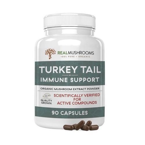 Turkey Tail Extract 90 Capsules