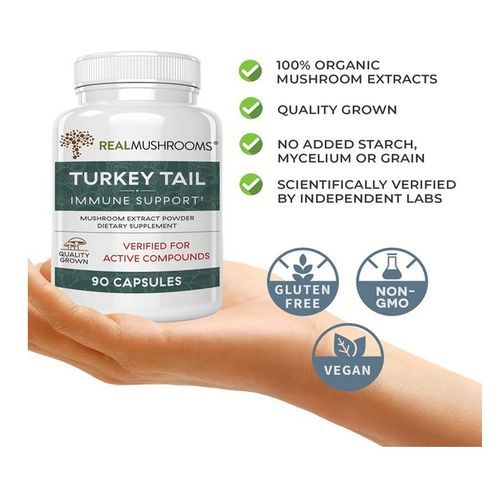 Turkey Tail Extract 90 Capsules