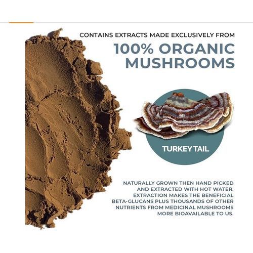 Turkey Tail Extract 90 Capsules