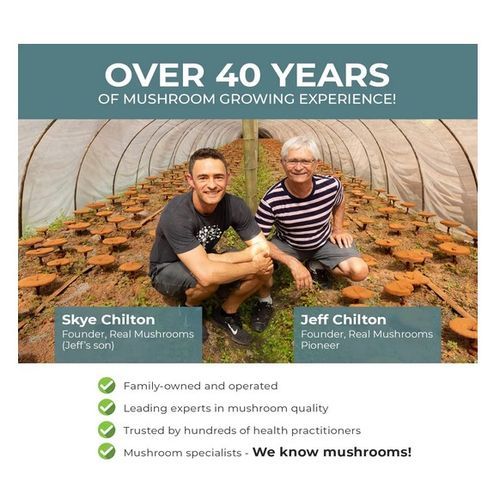 Turkey Tail Extract 90 Capsules
