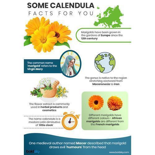 Calendula Petals - 100g