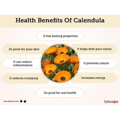 Calendula Petals - 100g