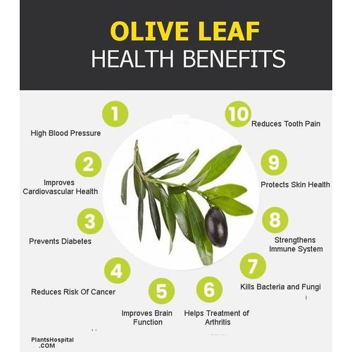 Dried Olive Leaves (Tree Of Life)- 100g