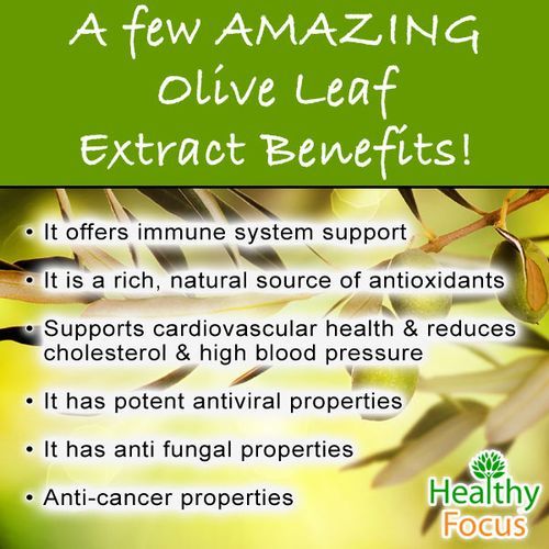 Dried Olive Leaves (Tree Of Life)- 100g