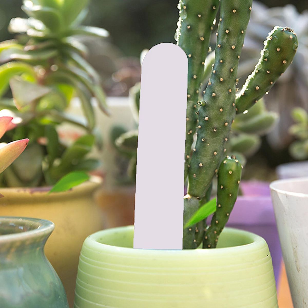 100PcsBag Plant Marker Nursery Tray Round Head Succulent Plants Plant Label White