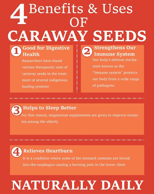Organic Caraway  Seed - 100g
