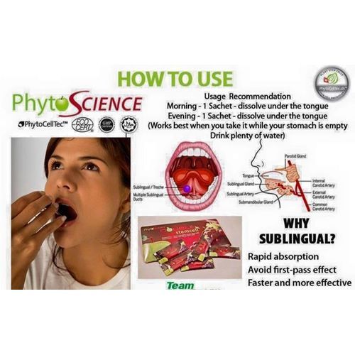 Phyto Science Double Stemm For Chronic Ailment