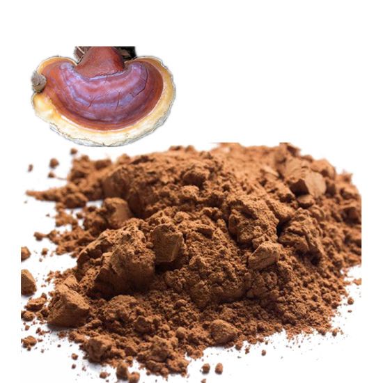 ORGANIC REISHI MUSHROOM POWDER -50g