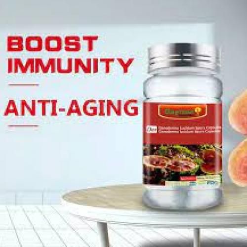 Ganoderma Lucidum Capsule Dietary Supplement For Immunity, Anti-Aging, Cancer, Blood Sugar Capsule