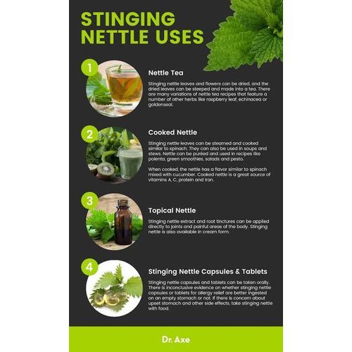 Stinging Nettle - 100g
