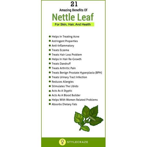 Stinging Nettle - 100g