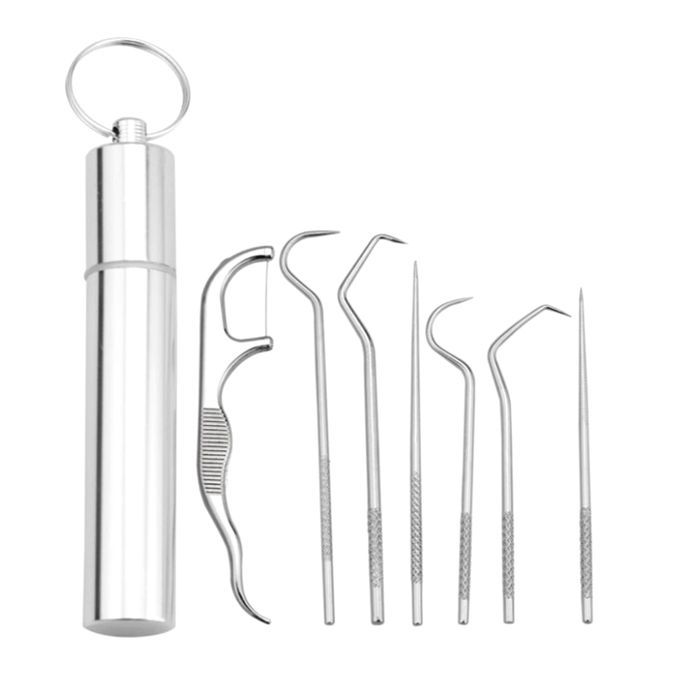 Portable Stainless Steel Toothpicks Set Reusable Metal