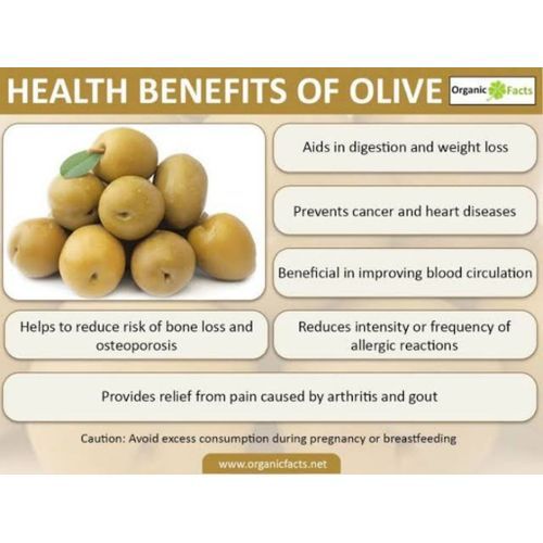 Natural Green Olives Seed