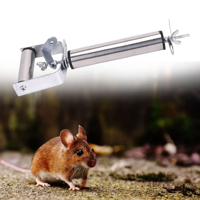 Mouse Traps Effective Mousetrap Catcher Indoor Outdoor Home Rat