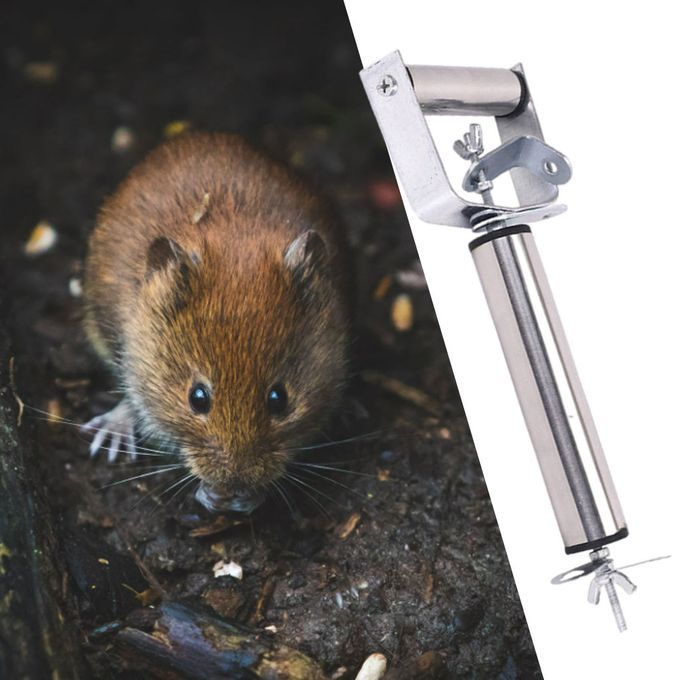 Mouse Traps Effective Mousetrap Catcher Indoor Outdoor Home Rat