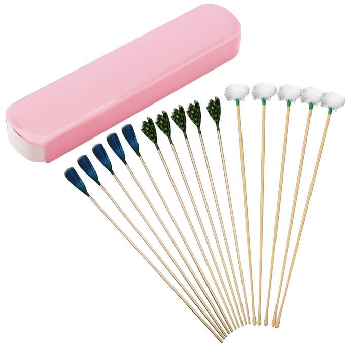 15pcs Ear Massage Set Earwax Cleaner Kits
