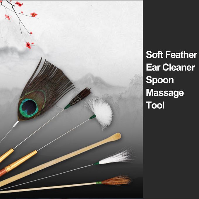15pcs Ear Massage Set Earwax Cleaner Kits