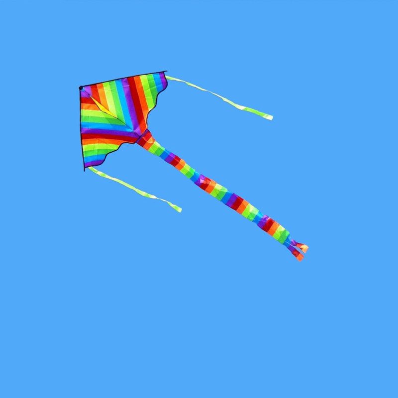 Rainbow Long Tail Triangle Flying Kite With 50m Handle Line-