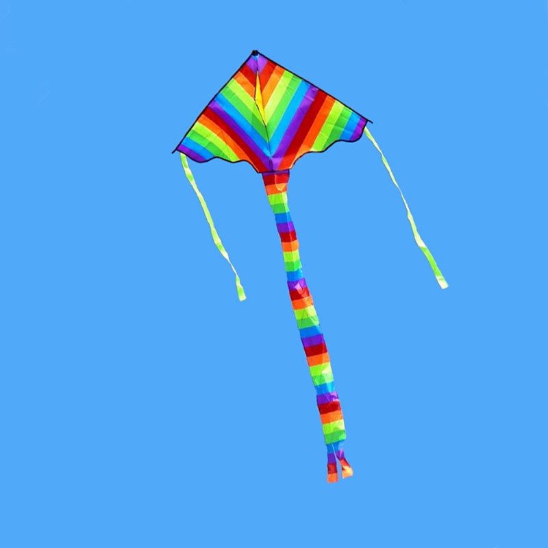 Rainbow Long Tail Triangle Flying Kite With 50m Handle Line-