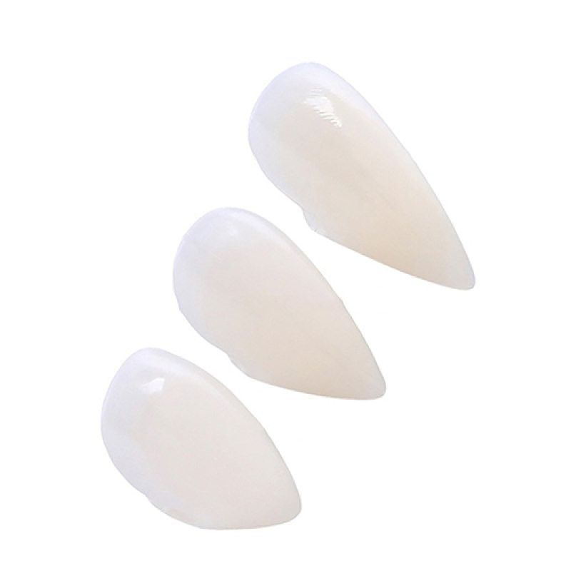 Cosplay Dentures Zombie Devil Vampire Fang Teeth-White