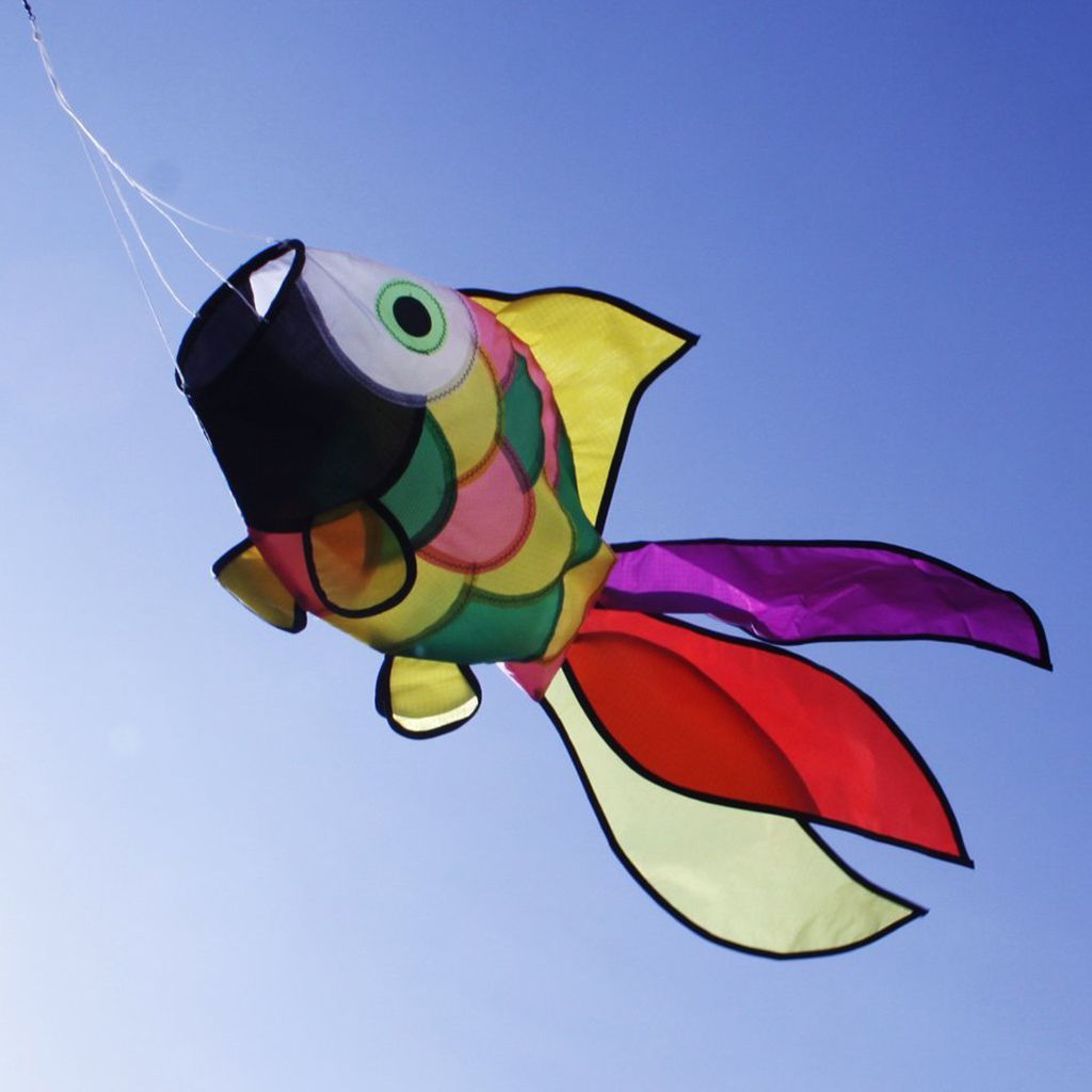 Kite Windsock Wind Kids Outdoor Toy Garden