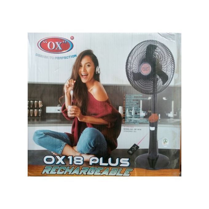 Rechargeable Standing Fan