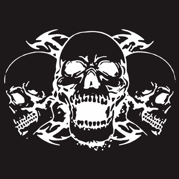 D-923 Three Skulls Pattern Car Sticker
