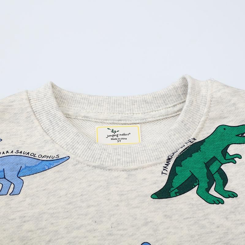 Boys Sweatshirt Long Sleeve Dinosaur Pattern Cartoon Sweatshirt White