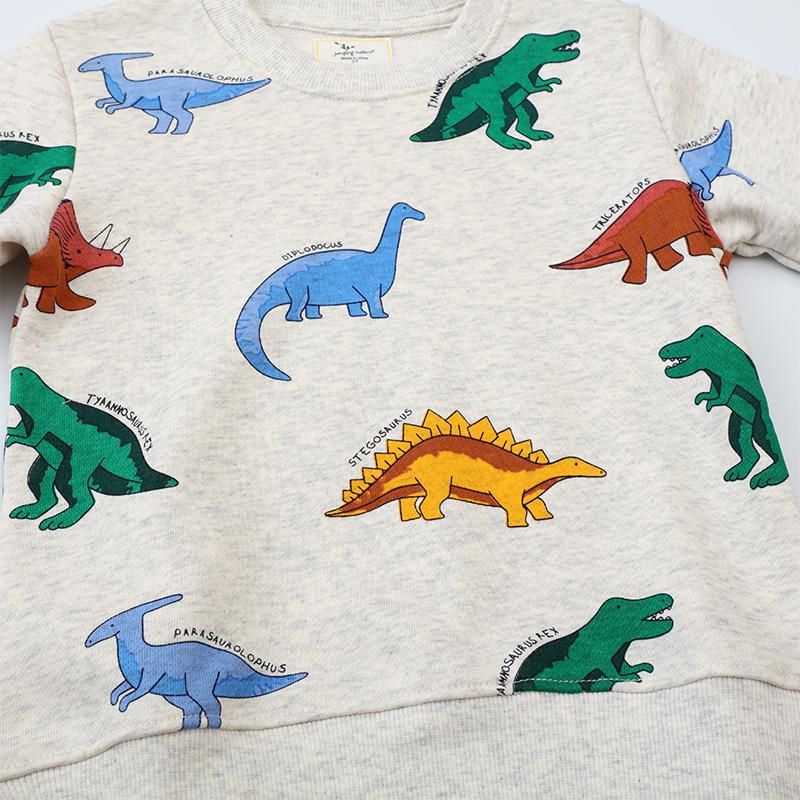 Boys Sweatshirt Long Sleeve Dinosaur Pattern Cartoon Sweatshirt White