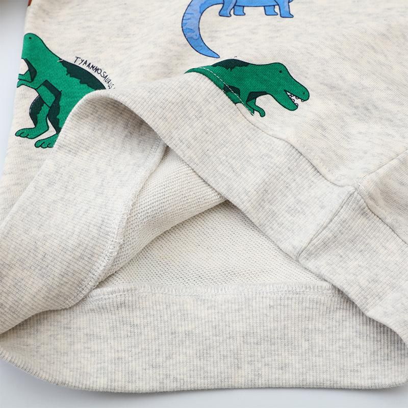 Boys Sweatshirt Long Sleeve Dinosaur Pattern Cartoon Sweatshirt White